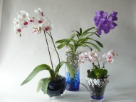 vaza-orchidejky.jpg